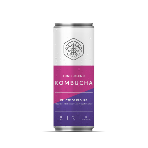 Tonic-Blend Kombucha cu Fructe de Pădure - Bax 24 doze 330 ml